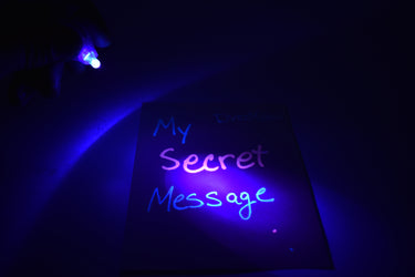 Multifunction UV Torch LED Keychain Flashlight UltraViolet Blacklight